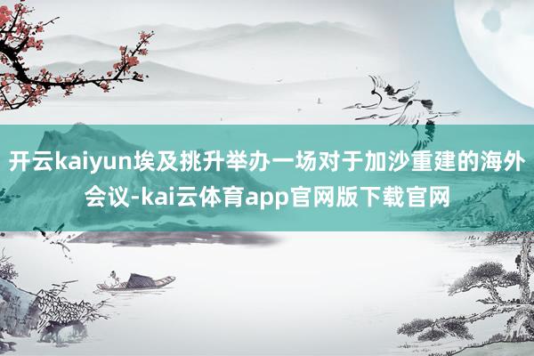 开云kaiyun埃及挑升举办一场对于加沙重建的海外会议-kai云体育app官网版下载官网